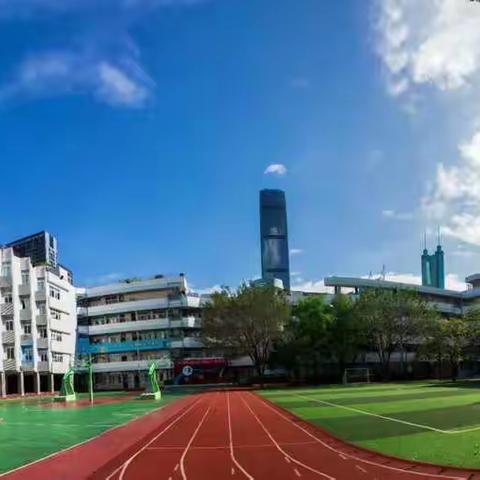 深圳市滨河小学体育家庭小课堂（更新）