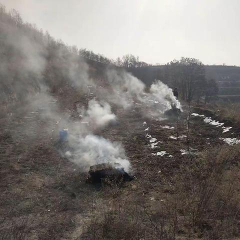 春季防冻是关键预防措施走在前