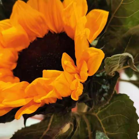 当志愿者的第一天