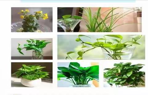 老师为你们的行为点赞