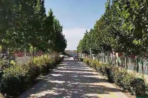 疫情防控，筑牢平安校园