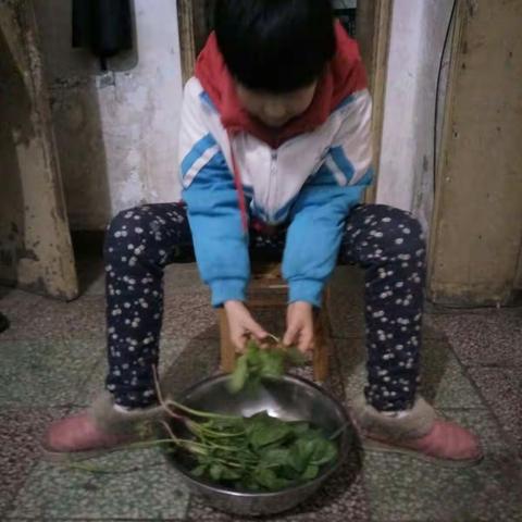 我来当大厨