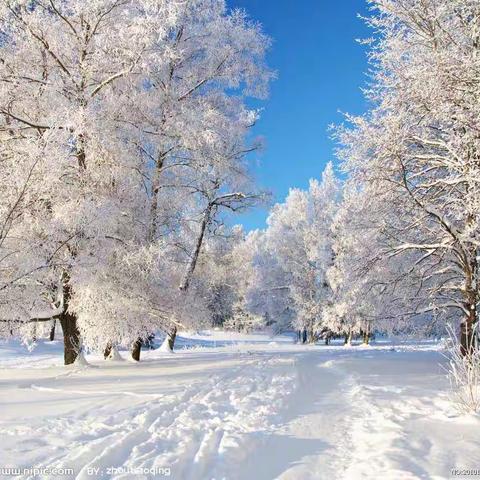 🌸琼花逐梦  相约冬奥🌸——双阳区中小学“点亮冰雪 喜迎冬奥”主题日暨一实验小学首届校园冰雪节活动