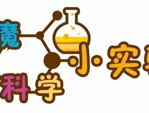 中班组～科学《会改变方向的小鱼》