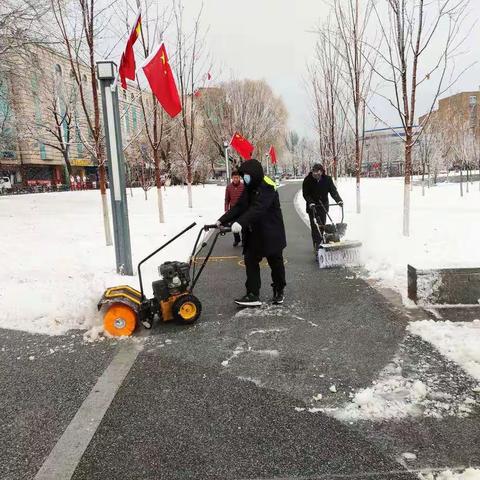 下雪就是命令