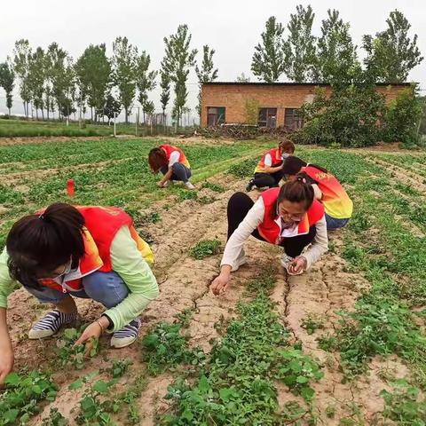 田间阴雨冷凄凄，社工帮扶暖洋洋