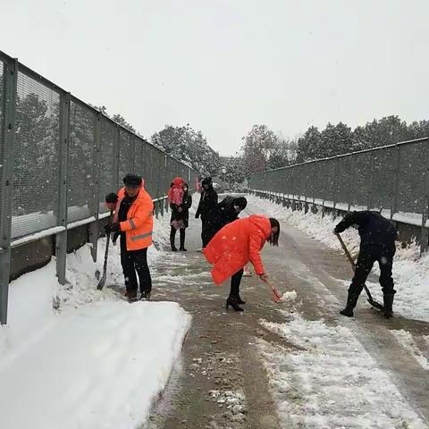 瑞雪飞舞，我们在行动！