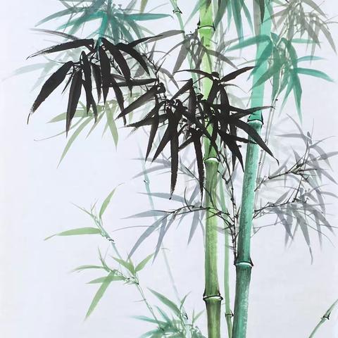 【诗意.岁寒三友】NO1   竹之爱