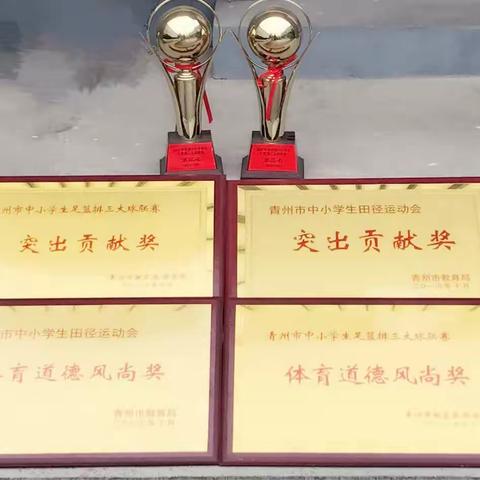 2017年国家体质检测...ing