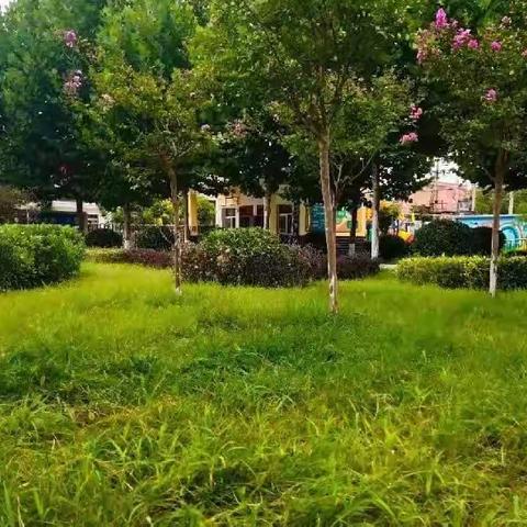 拾金不昧好少年，传承中华美德——城关学区皇甫小学拾金不昧事迹