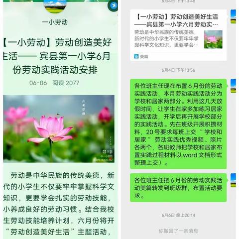 【一小劳动】劳动砺心志，实践促成长——宾县第一小学六月劳动实践活动纪实