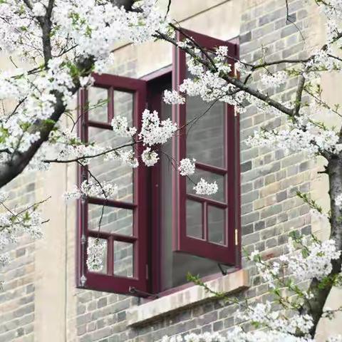 《疫情期武汉封城与解封带来的思考》——湛江市赤坎区思政学科第二次网上主题教研沙龙