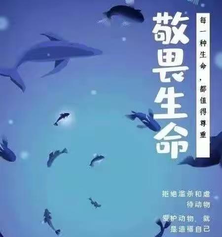 《敬畏生命》——湛江市第五中学思想政治第三节主题教学活动课