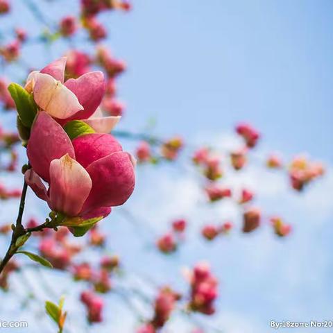 致全体六年级毕业生的一封信