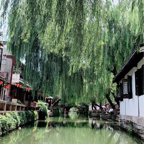 江南之行——写给儿子