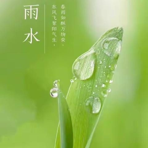 好雨时节，润物无声——徐州市第二实验幼儿园雨水节气活动