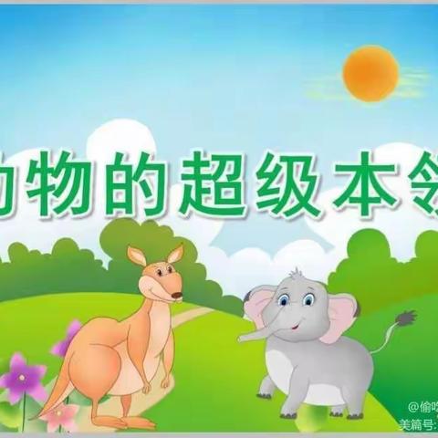 崔解幼儿园中班科学—《动物的超级本领》