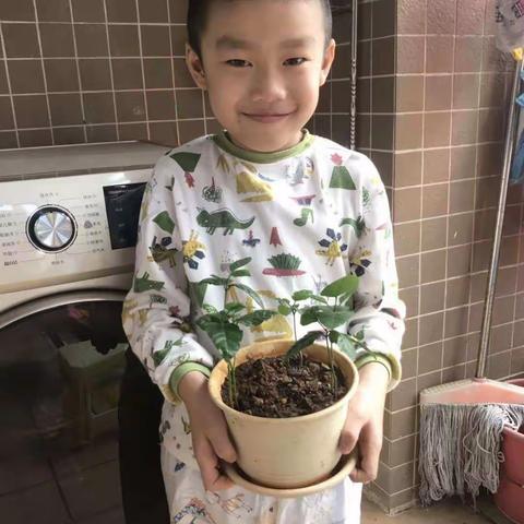 海口市英才小学滨江分校一（10）班第二学习小组第5周活动小结