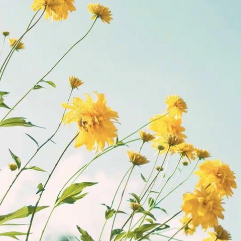 相信明天一定会更好                 ——孔子教学法研讨会第四天          