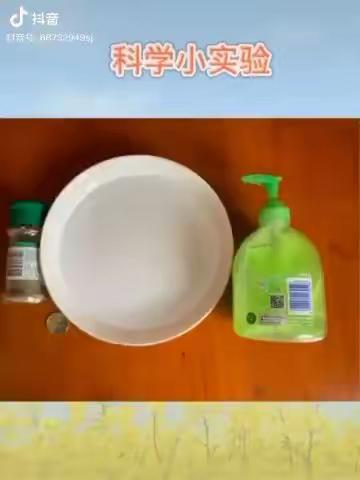 兆麟幼儿园中班—“第一讲”