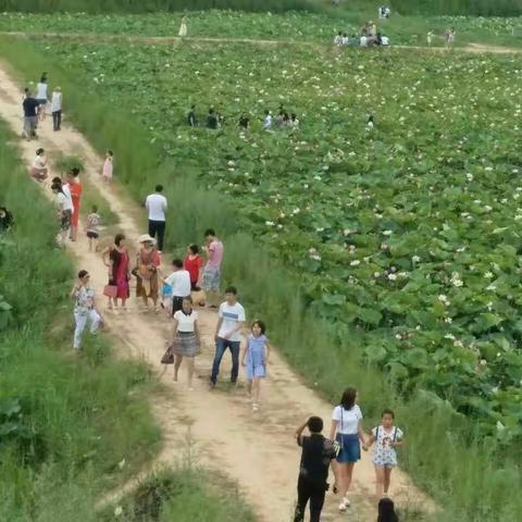 南泥湾好地方