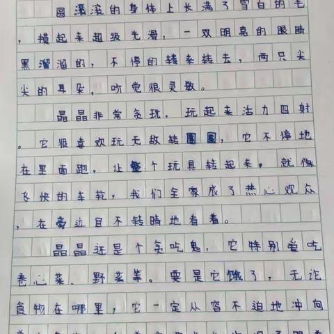 小小习作家！