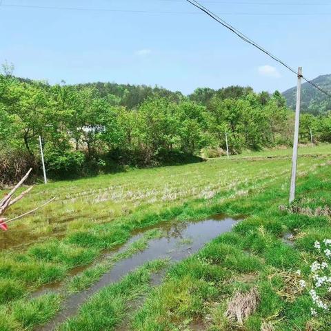 许家畈小学农田实践活动正式启动