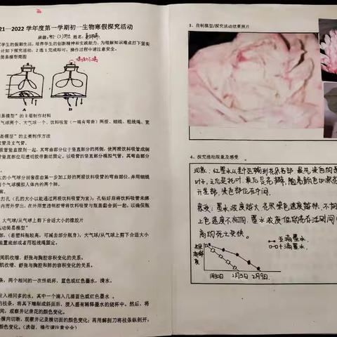 昌平区第五学校南邵中学理化生组学生寒假实践活动展示