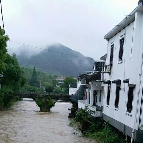 暴雨天青山镇随拍