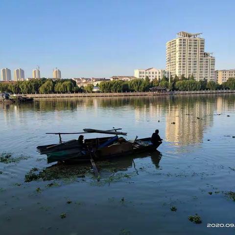 射阳河畔风景如画！