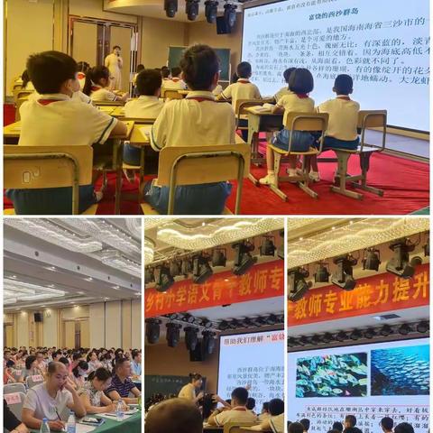 2020年海南省乡村小学语文骨干           教师专业能力提升培训班活动简报