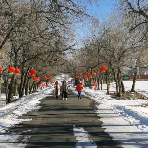 冬日里的快乐激情