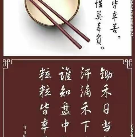 🌾节约粮食    从我做起🌷
