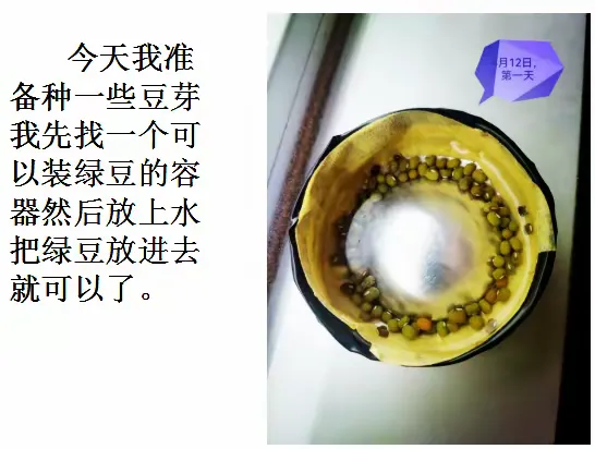  疫情是什么什么造句子二年级下册(疫情是什么什么造句子二年级下册语文)