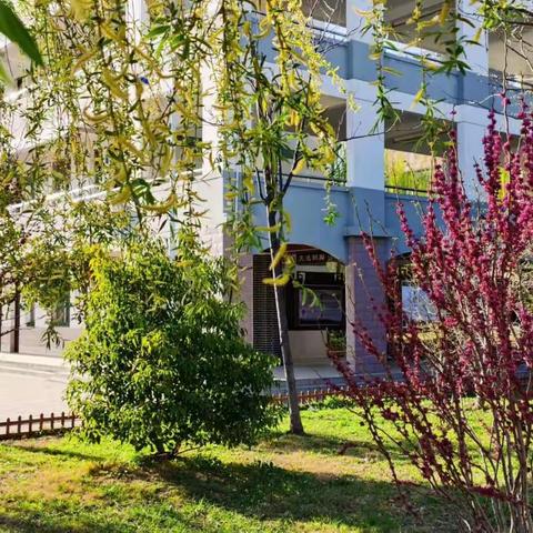 春暖花开，实中等你归来-丰县实验初级中学八年级B部