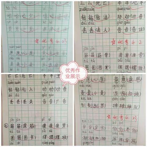 最美人间四月天，校园春意正盎然