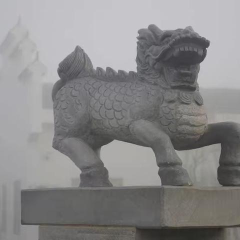 汉川市第三届河蟹丰收节摄影大赛参赛作品