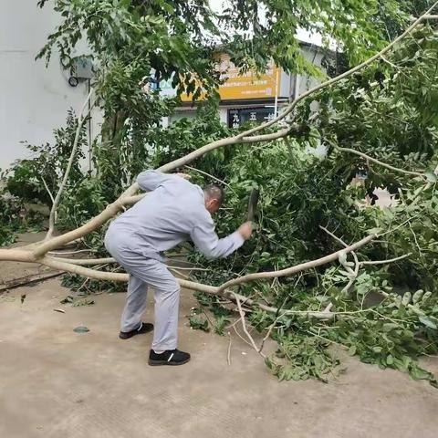 18号台风“圆规”灾后，机电灯饰城物业组织员工对现场灾情进行清理工作。