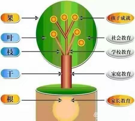 同心战“疫”为爱而行 ❤️驻马店市博爱幼儿园【线上乐学】延期不延学 成长不停歇——康复教学分享(第五十天)