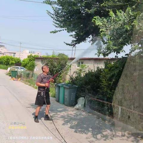 文北街道大洪桥第一社区书记高乃军亲自上阵给社区境内树木喷洒杀虫剂