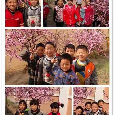成长足迹，感谢有你