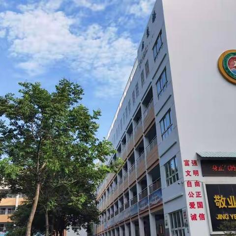 逸夫小学2022年暑期教师培训纪实