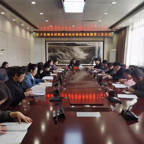 2024年城乡居民基本医疗保险工作会议记录