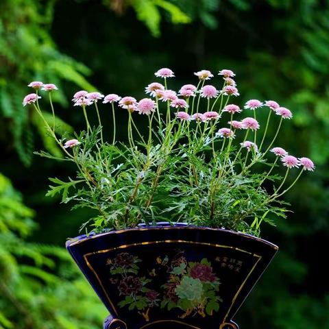 换种心情面对生活