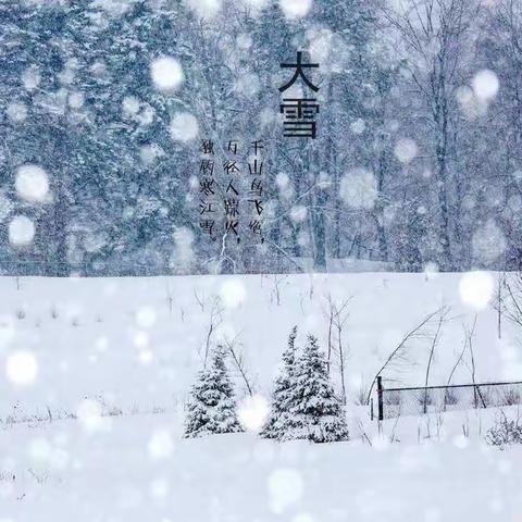 【大雪到,冬始俏】——市四幼北小汪园区大雪主题活动