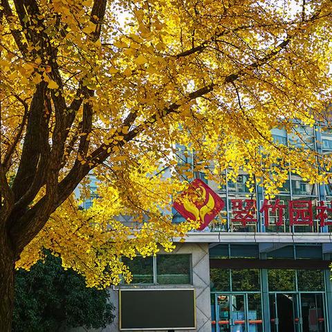 美丽家园