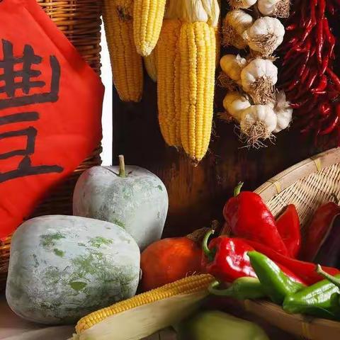 北村学校学生参加“红领巾走进丰收节”活动