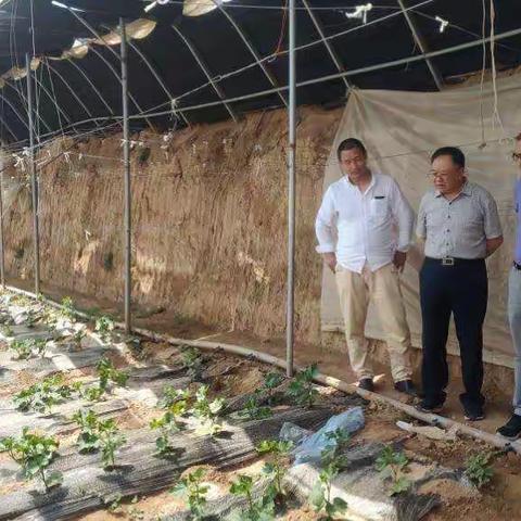 引进龙头企业  推动产业扶贫