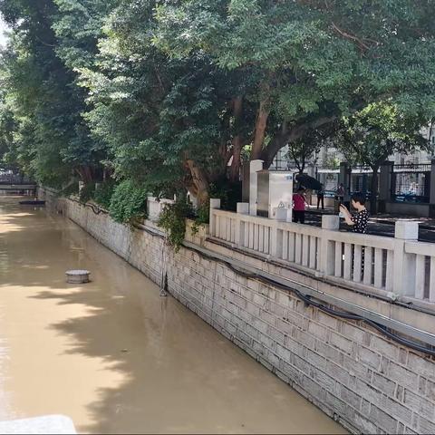 鼓东街道“河长日”巡河活动