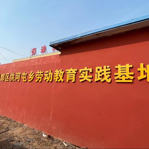 洪河屯三中六（4）班劳动实践活动